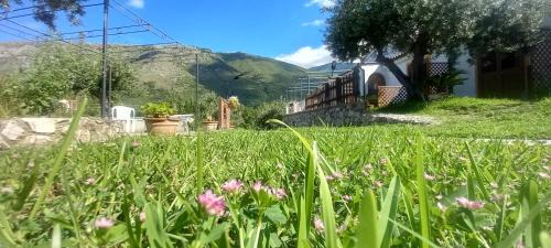 Maratea Bed & Breakfast | B&B da Maria Teresa - Maratea
