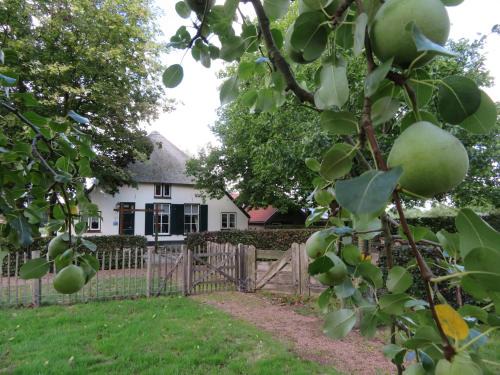 Municipality of Wageningen Bed & Breakfast | B&B De Willemshoeve