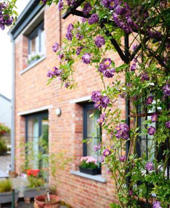 Maldegem Bed & Breakfast | B&B Destiny