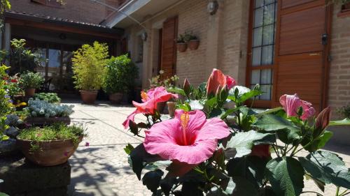 Porto Garibaldi Bed & Breakfast | B&B ENSILEVA BEACH