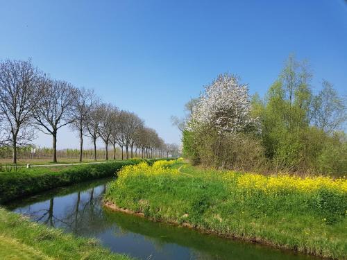 Lienden Bed & Breakfast | B&B Het Zwanennest