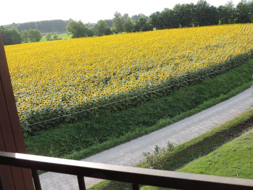 Varmo Bed & Breakfast | B&B I Prati di Varmo