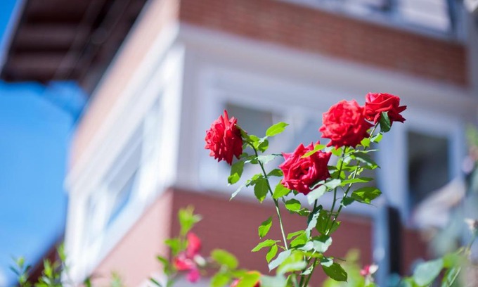 Malonno Bed & Breakfast | B&B Il Pettirosso
