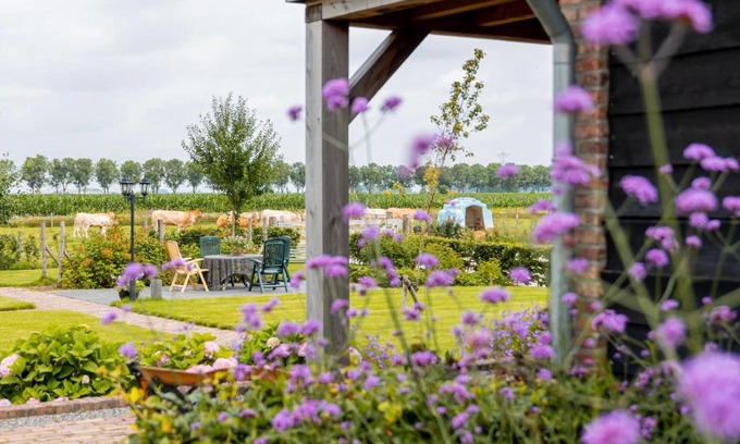 Municipality of 's-Hertogenbosch Bed & Breakfast | B&B In ons straatje