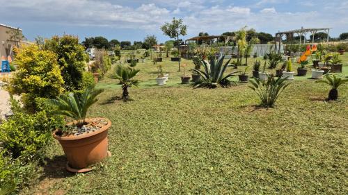 Sava Bed & Breakfast | B&B L'Albero d'Oro