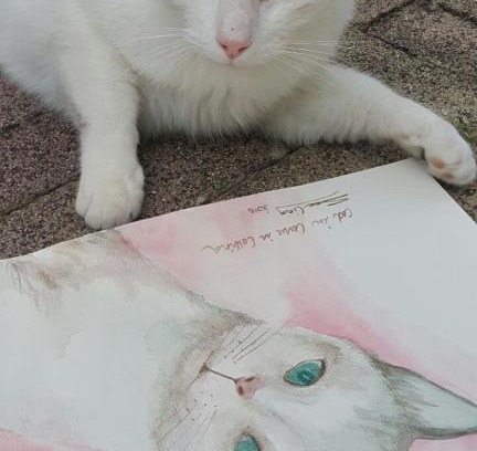 Sarmede Bed & Breakfast | B&B La Casa in Collina