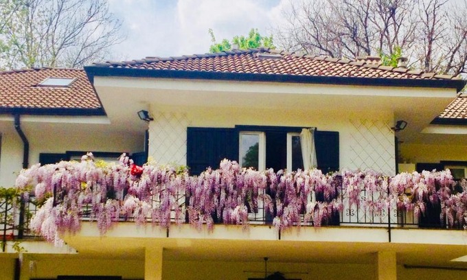 Cintano Bed & Breakfast | B&B La libellula