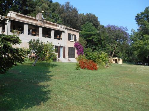 Folelli Apartment | B&B la rivière