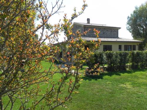Campagnatico Bed & Breakfast | B&B Monte di Bù