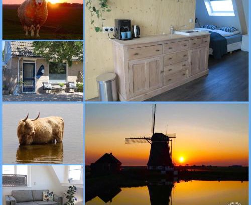 Municipality of Texel Bed & Breakfast | B&B Zonnedael