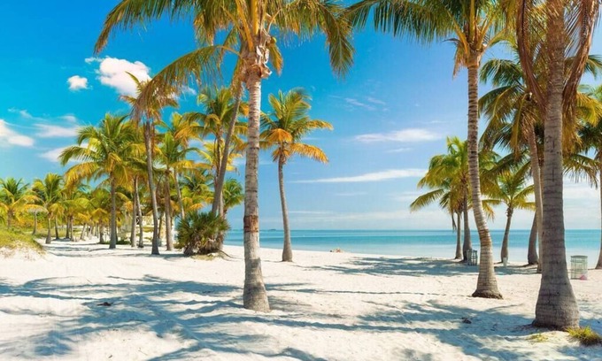 The Roads House | Bachelorette Oasis- Pool, Firepit, Close to Brickell, Flower Wall, Free Parking