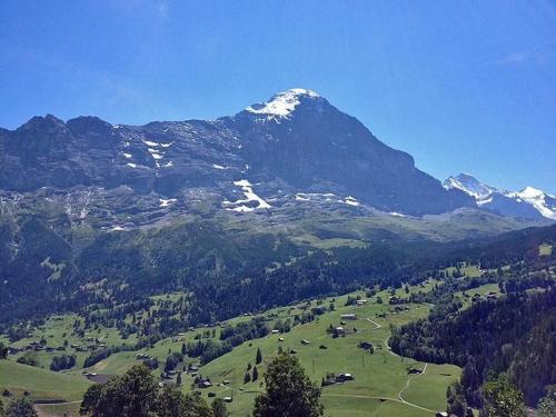 Grindelwald Apartment | Bachsbort 14 4 Bett Wohnung Parterre, Freie Sicht Auf Eiger