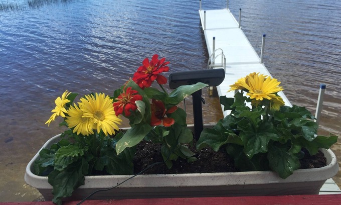 Sullivan Cottage | Back Of The Moon Cootage