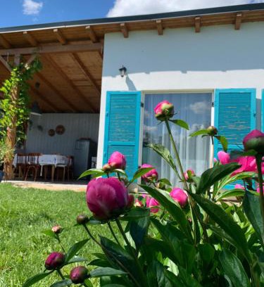 Sebes Bed & Breakfast | Backyard Cottage