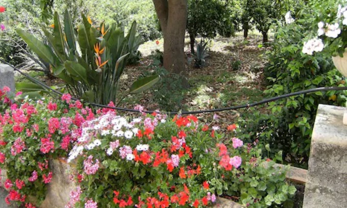 Macchia Bed & Breakfast | Baglio delle Rose