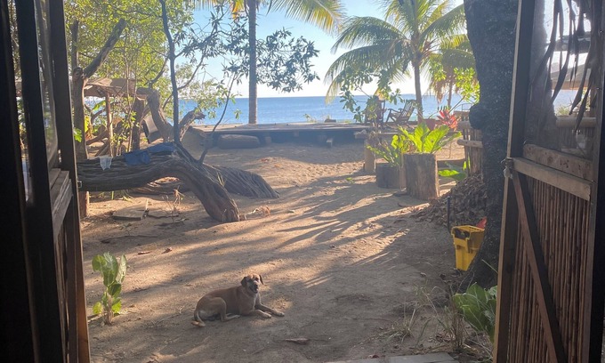 Garza Cabin | Bamboo Beach Bungalow