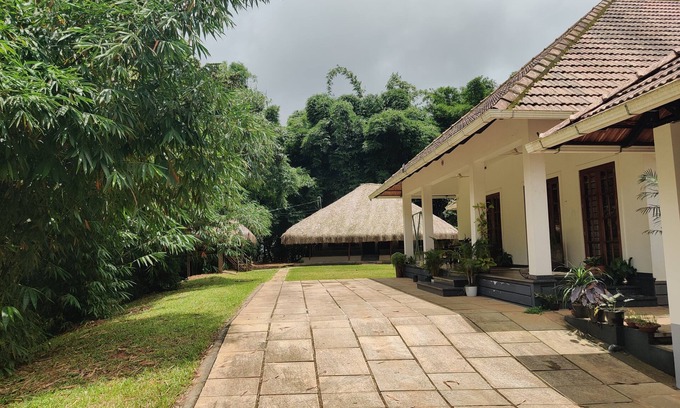 Kattikkulam Cottage | Bamboo Grove, merged with nature.