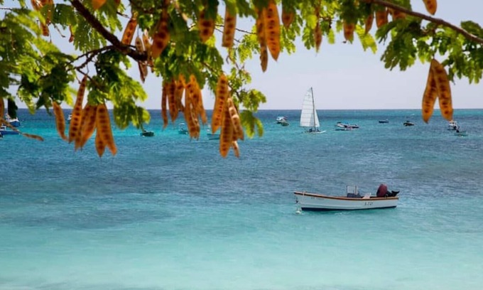 Weston Apartment | Barbados / West coast 1 bed apartment