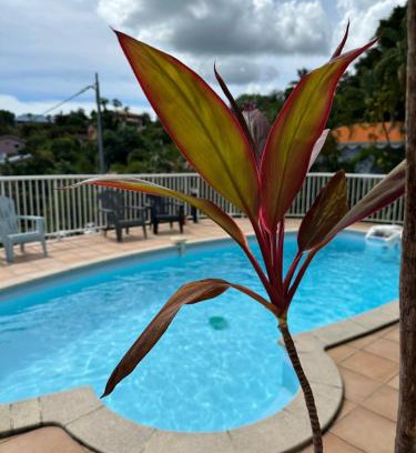 Schoelcher House | Bas de villa spacieux, proche plages et centre