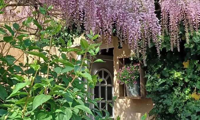 Peyrolles-en-Provence House | Bastide Cedrea