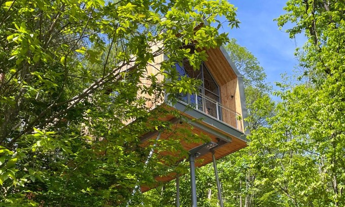 Annweiler am Trifels House | Baumwipfelhaus