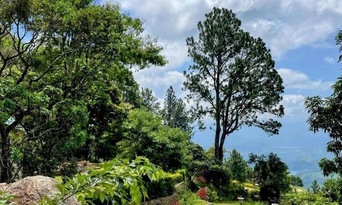 Pathahewaheta House | Bawlana Estate - Kandy