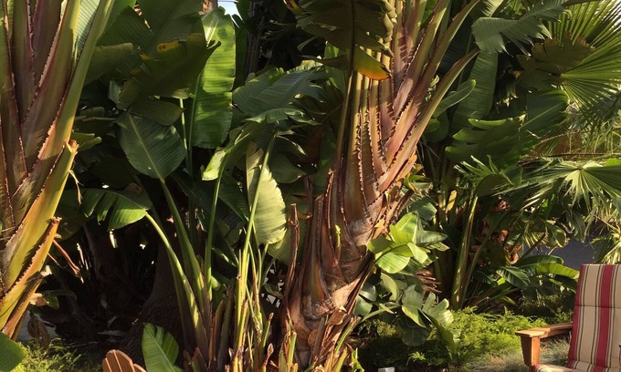 Morro Bay Hotel | Beach Bungalow Inn and Suites