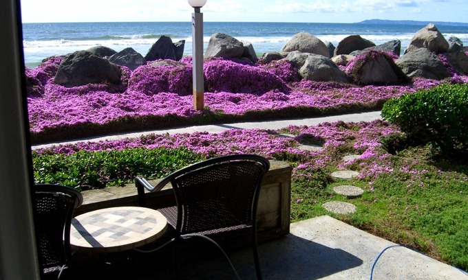 Imperial Beach Condo | Beach Front Condo Nothing Between You & The Ocean! STEPS TO THE BEACH👙