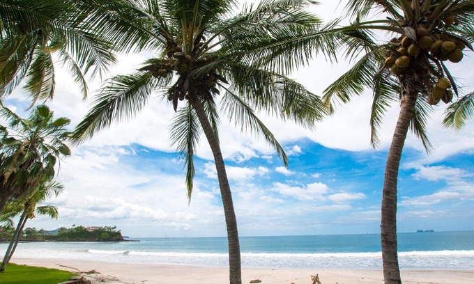 Playa Flamingo Condo | Beachfront Condo with Warm, Rustic Interiors & Direct Access to Playa Flamingo