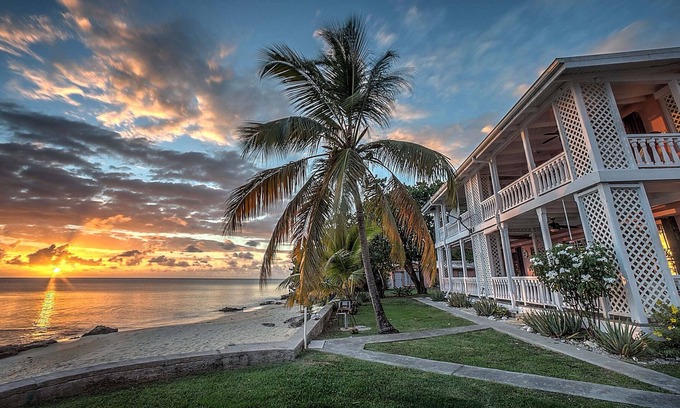 Frederiksted Condo | Beachfront Pink Condo #8