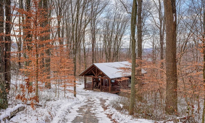 Carbon Hill Cabin | Bear Hugs cabin nestled in the woods.