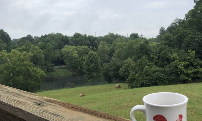 Bluff City House | Beautiful and Secluded 3 BR/3 BA Home on South Holston River