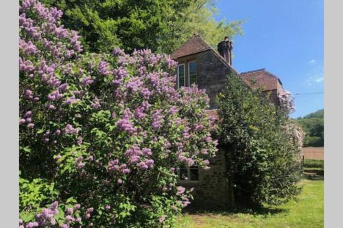 Eleighwater Apartment | Beautiful converted Stable in peaceful Somerset, close to the Jurassic Coast