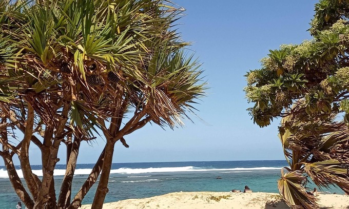 Centre-Ville Apartment | Beautiful T2 with terrace in the heart of Saint Pierre