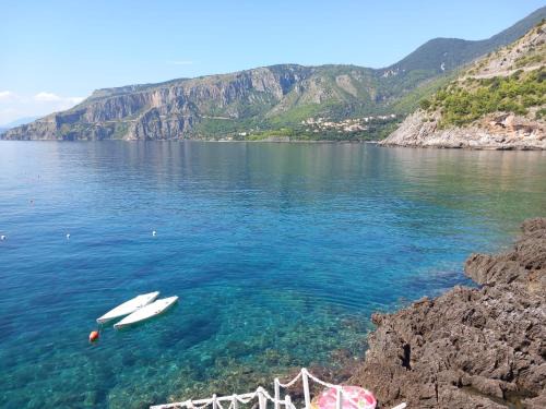 Cersuta Bed & Breakfast | Bed and Breakfast Tenuta Palmieri ONLY ADULT