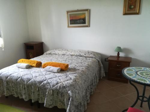 Chiaramonti Bed & Breakfast | bed and coffee Sas Damas