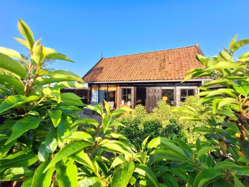 Ternaard Bed & Breakfast | Bed & brochje By ús thús