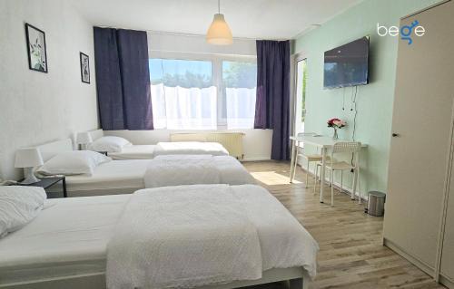 Rheinhausen Apartment | BEGE APARTMENTS Remote Base