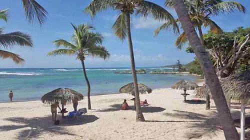Anse des Rochers Apartment | Bel appart , 45M2 ,Wifi HD ,4 Voyageurs