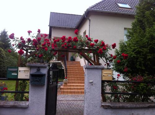 Ostwald Apartment | Bel Appartement en RDC proche Strasbourg Nice apartment very near Strasbourg