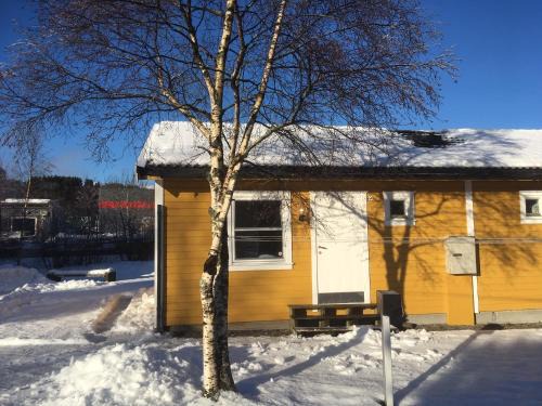 Asane Other | Bergen Camping Park