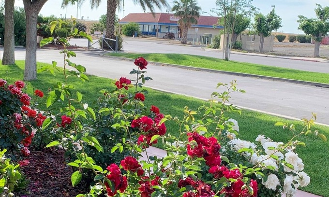 Coalinga Hotel | Best Western Big Country Inn