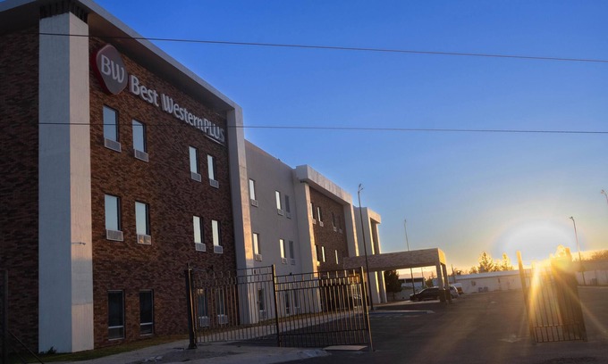 Chihuahua Hotel | Best Western Plus Sacramento