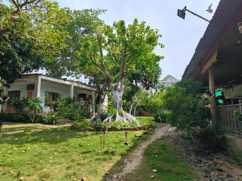 Xuyen Moc House | Biên Rừng Homestay