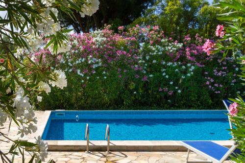 Grosseto House | Bilo Gardenia