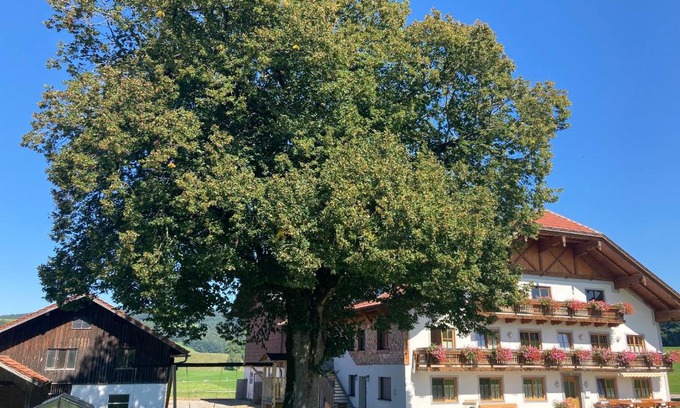 Zell Am Moos Apartment | Biohof-Feichtinger