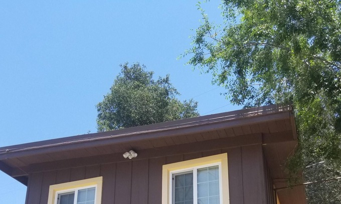 Julian Bed & Breakfast | Bird House, relax in the mountains!