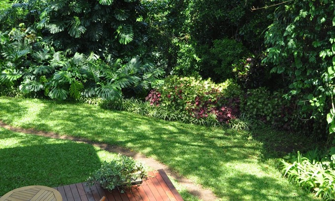 uMlalazi Bed & Breakfast | Birds of paradise B&B