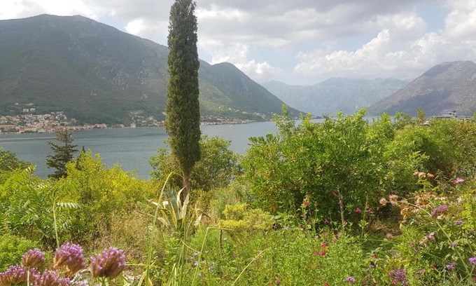 Dobrota Apartment | Biser lux - Kotor Bay - Sea view & Swimming Pool