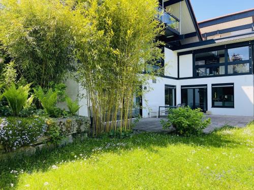 Daisendorf Apartment | Blick ins Grüne